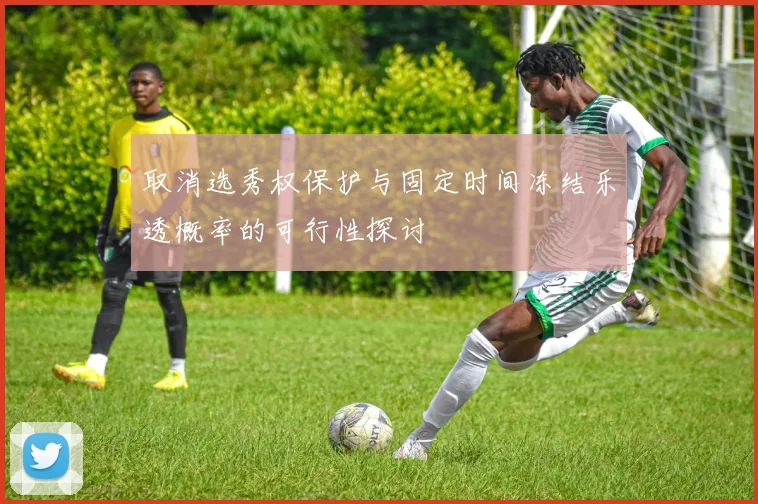 取消选秀权保护与固定时间冻结乐透概率的可行性探讨