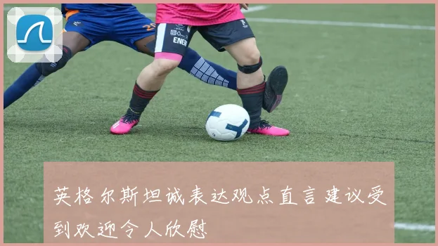 英格尔斯坦诚表达观点直言建议受到欢迎令人欣慰